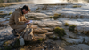 Geologist studying travertine terraces formation